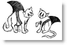 Cat_shark01