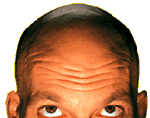 Seth-godins-head